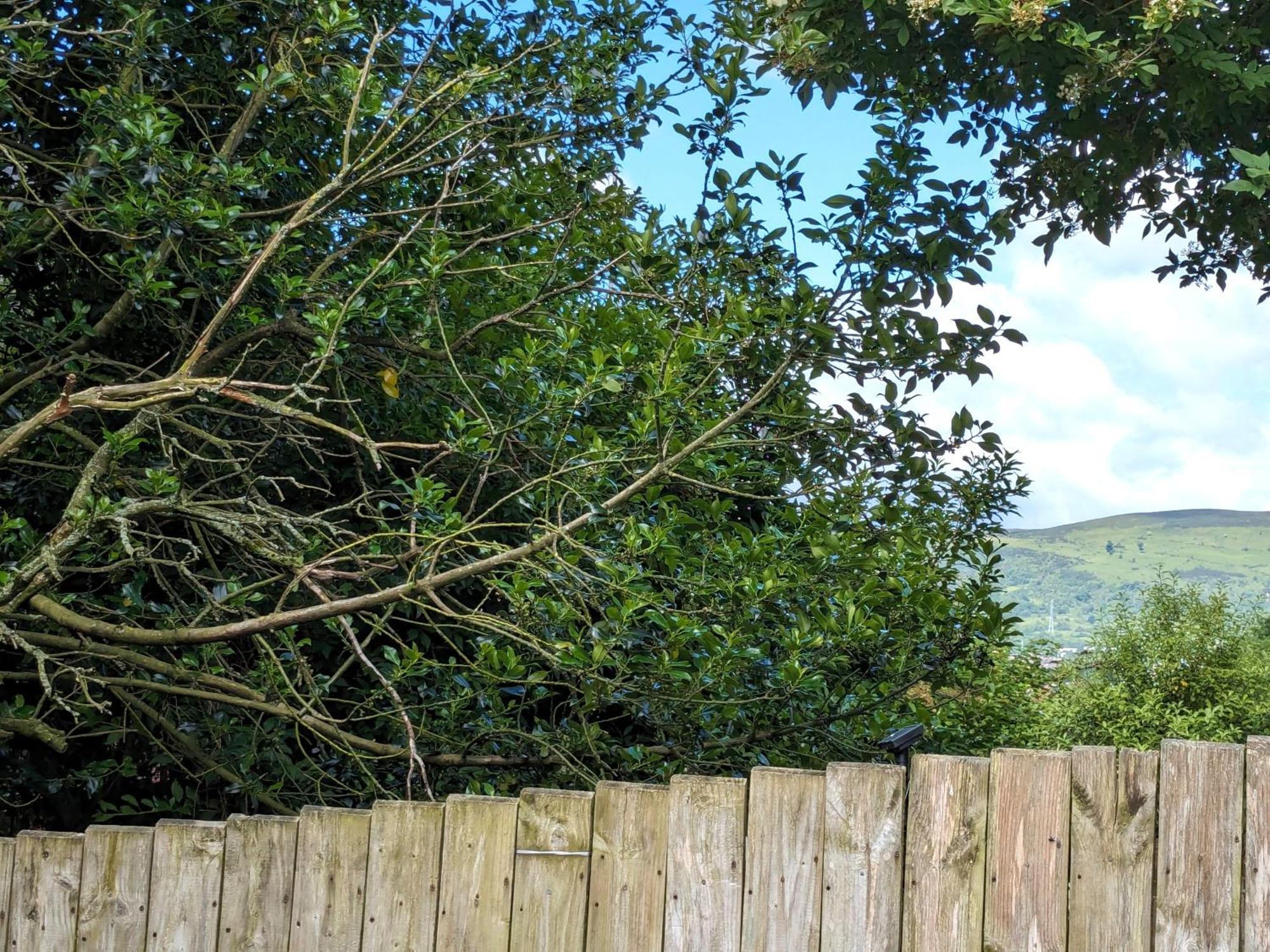 Heart Of Belfast With Private Garden别墅 外观 照片